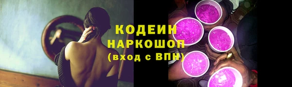 гашик Краснослободск