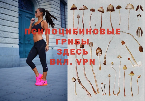 ГАЛЛЮЦИНОГЕННЫЕ ГРИБЫ Семёнов