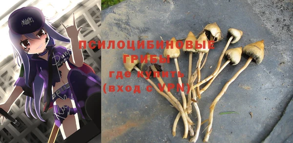 гашик Краснослободск
