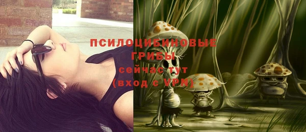 гашик Краснослободск
